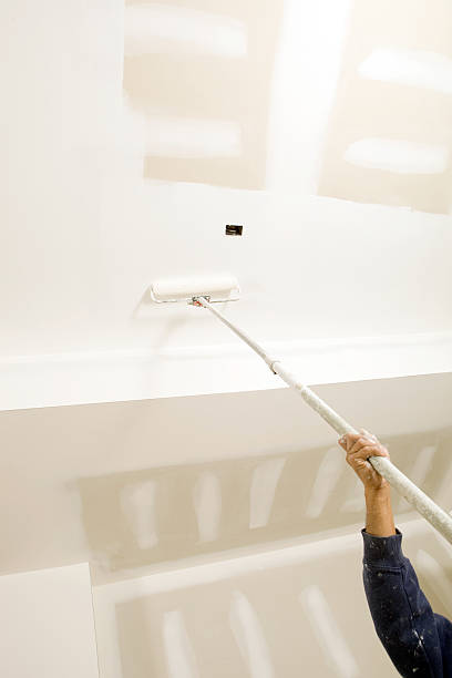 Trusted Dalton, PA Mold Removal Experts